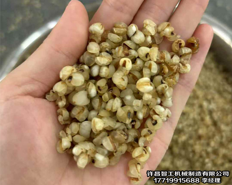 流水線炒貨機