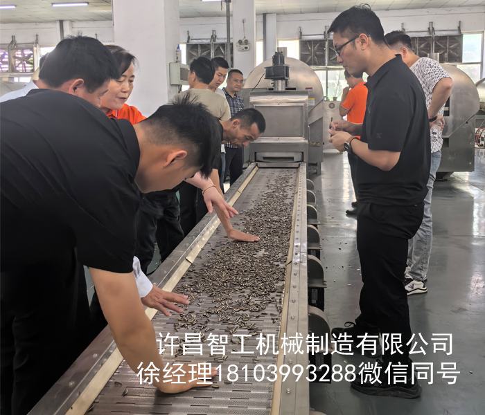 河南客戶來廠試機全自動炒瓜子流水線