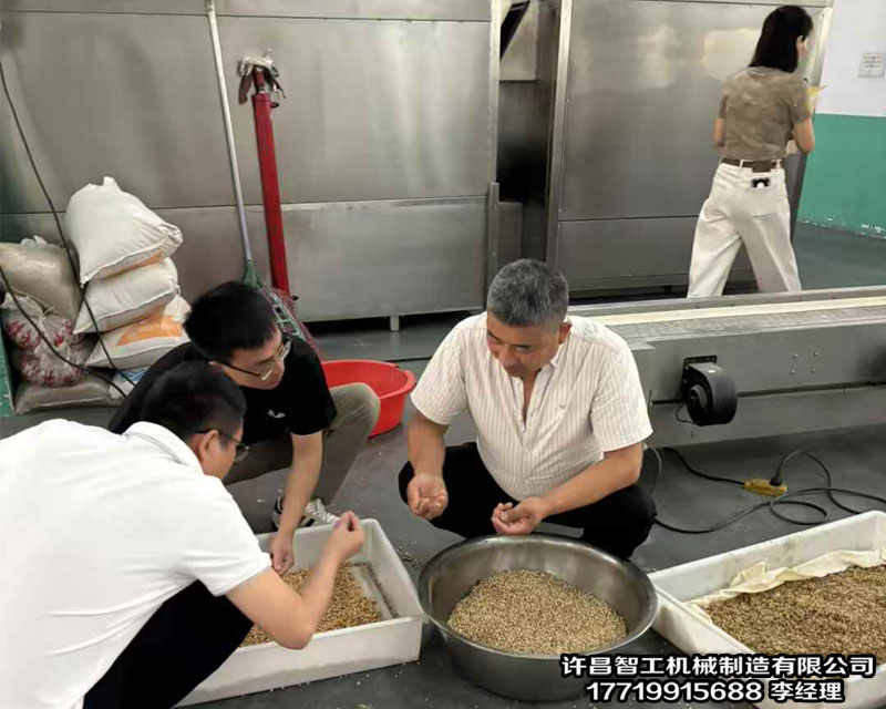 安徽客戶來廠試機電磁流水線炒貨機炒制薏仁米